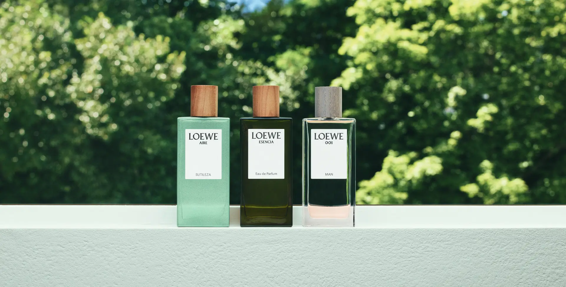 Imagen de perfumes loewe