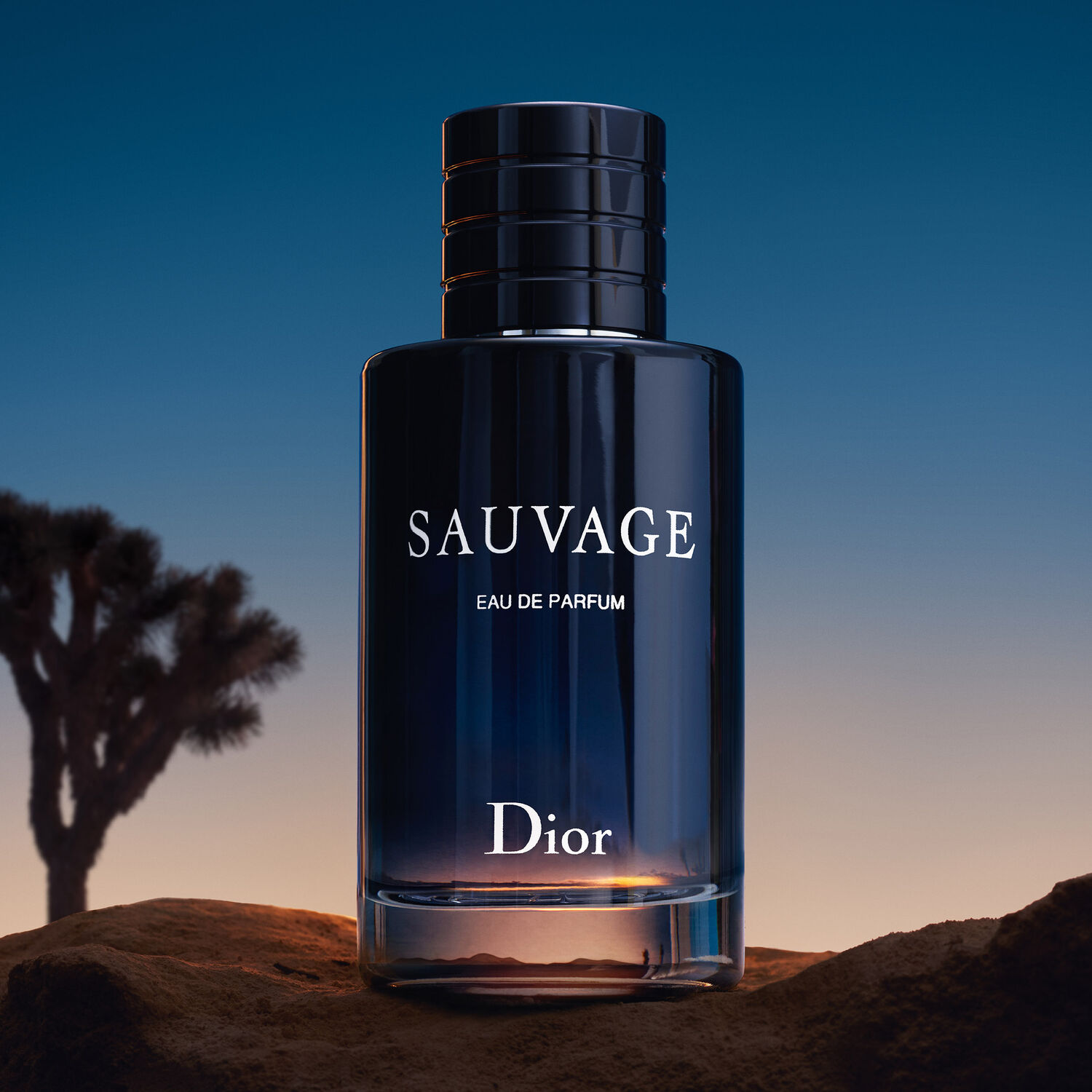 Agua salvaje discount de dior hombre